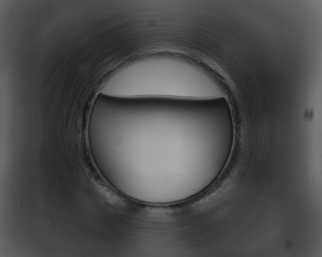X0000101980825200807180758