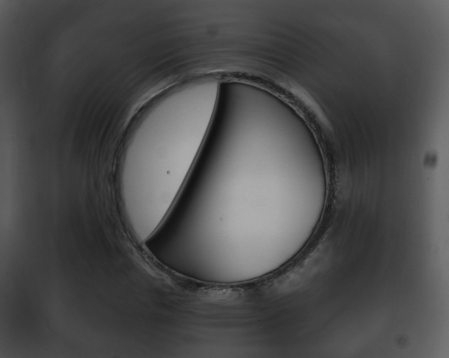 X0000101980826200807180758