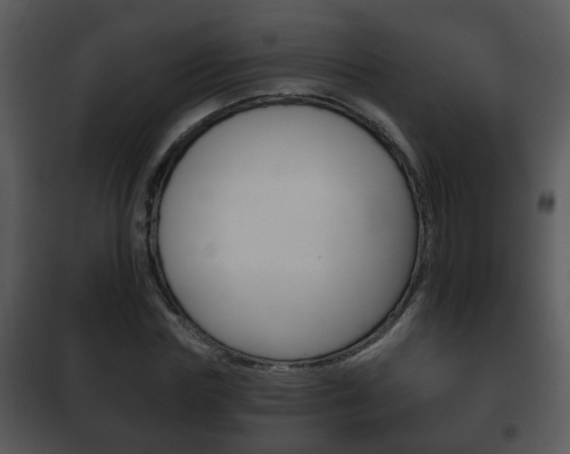 X0000101980827200807180758