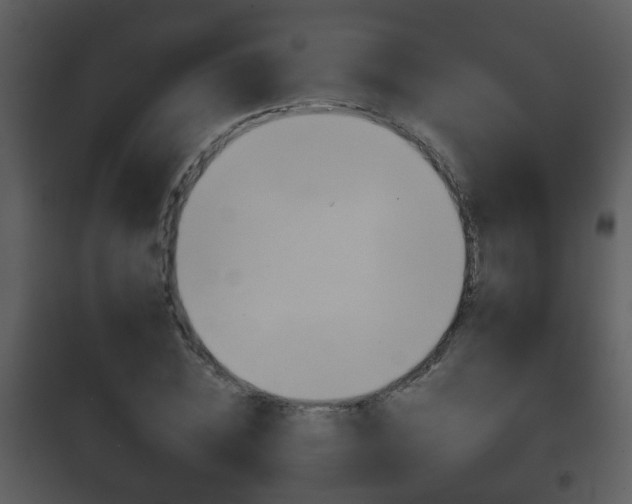 X0000101980828200807180758
