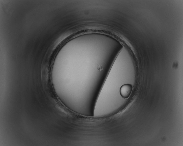 X0000101980829200807180758
