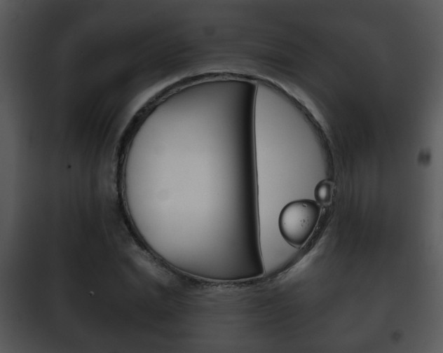 X0000101980830200807180758