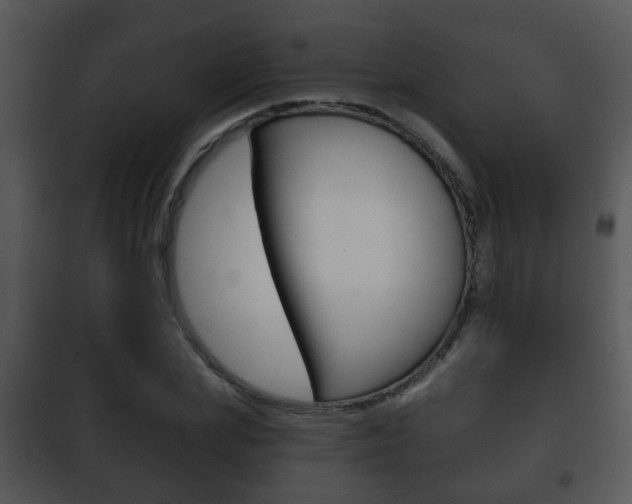 X0000101980831200807180758