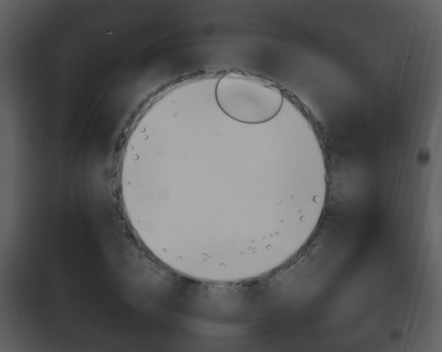X0000101980832200807180758