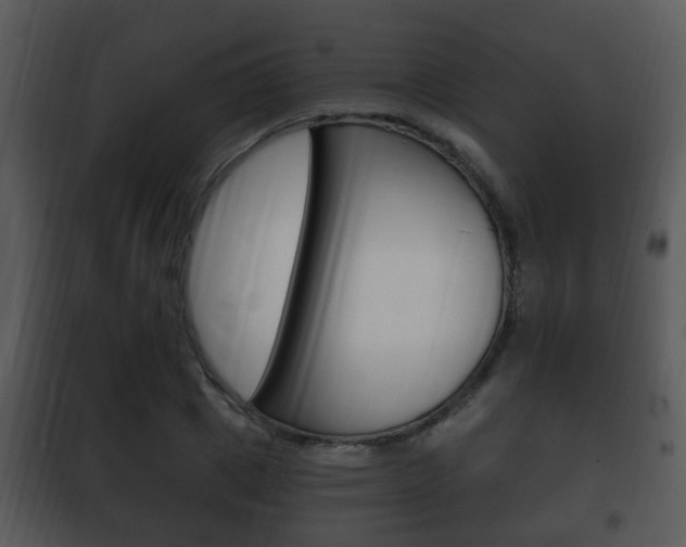 X0000101980833200807180758
