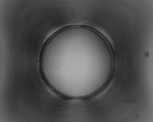 X0000101980834200807180758