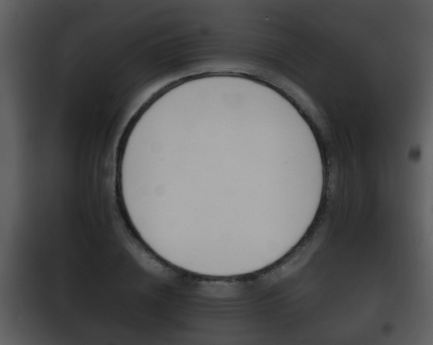 X0000101980836200807180758