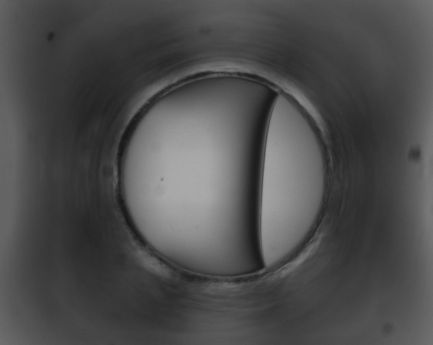 X0000101980837200807180758