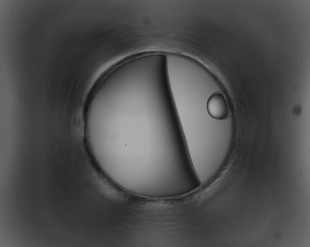 X0000101980838200807180758