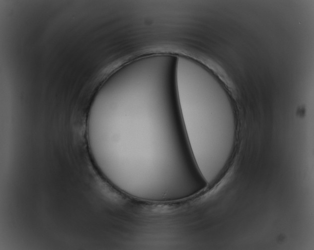 X0000101980841200807180758