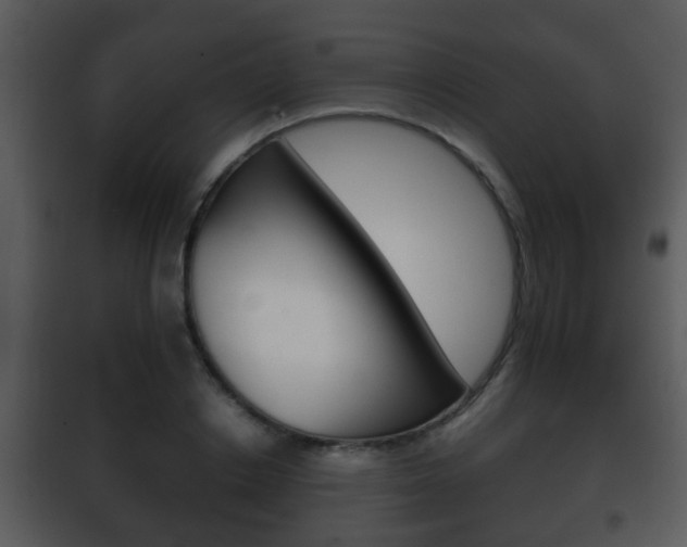 X0000101980842200807180758