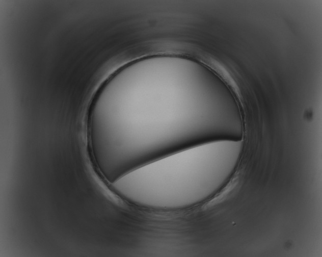 X0000101980843200807180758