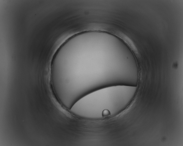 X0000101980844200807180758