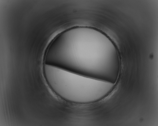 X0000101980845200807180758