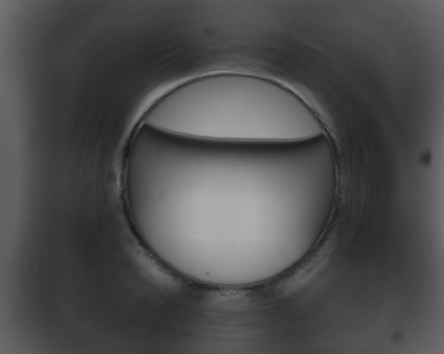 X0000101980846200807180758