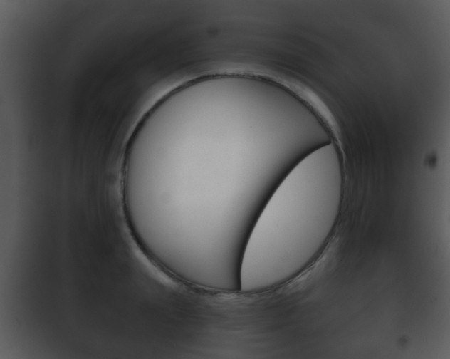 X0000101980847200807180759