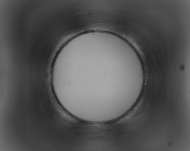 X0000101980848200807180759