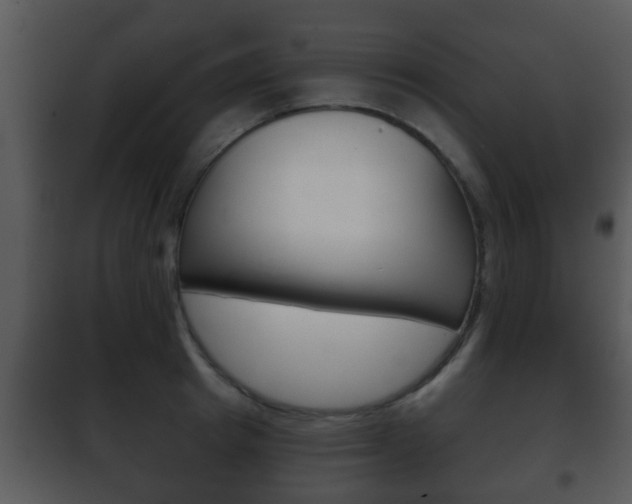 X0000101980849200807180759