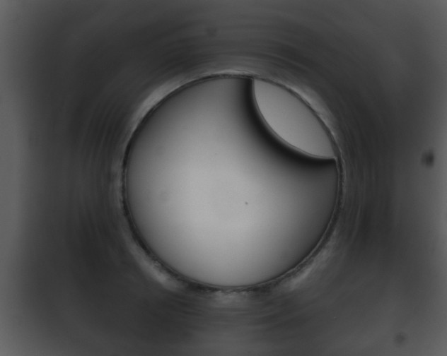 X0000101980850200807180759