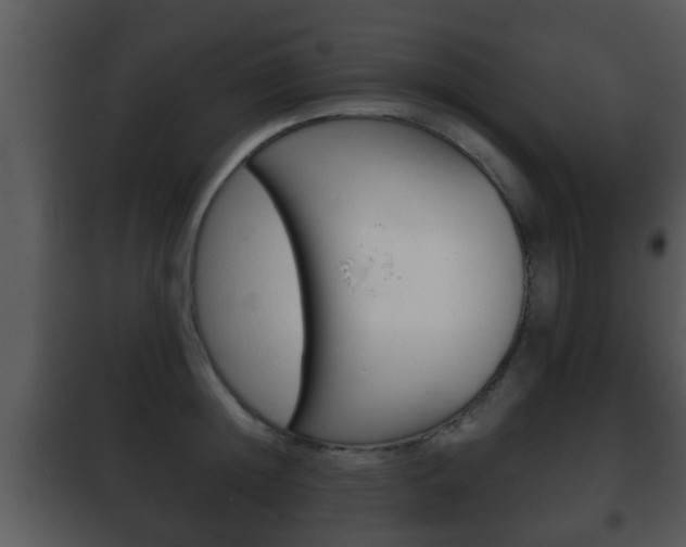 X0000101980852200807180759