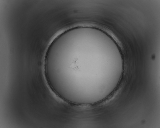 X0000101980853200807180759