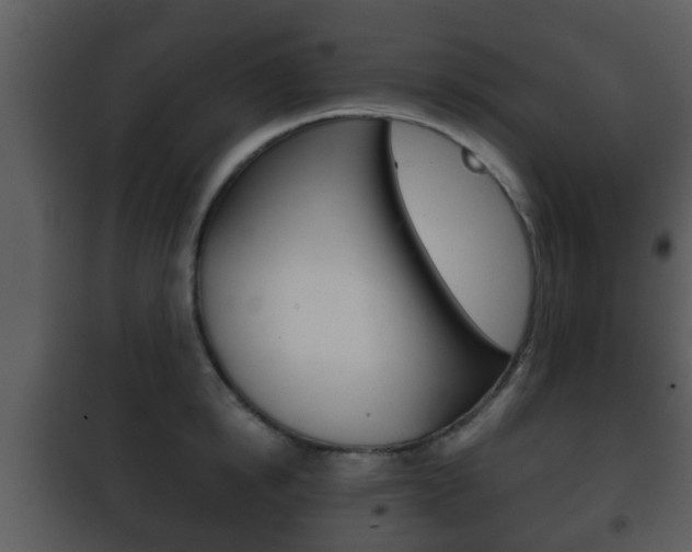 X0000101980854200807180759