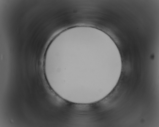 X0000101980856200807180759