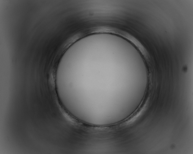 X0000101980857200807180759