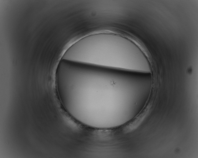 X0000101980858200807180759