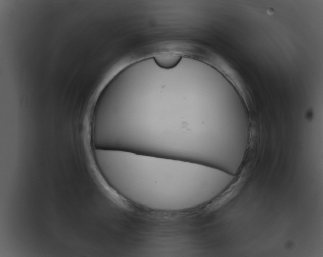 X0000101980859200807180759