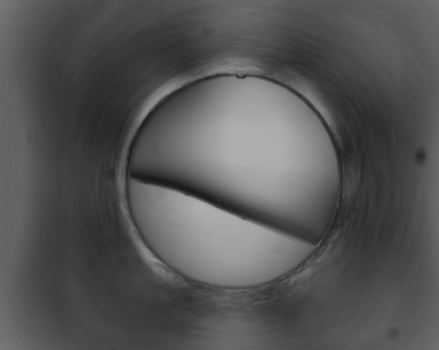 X0000101980861200807180759