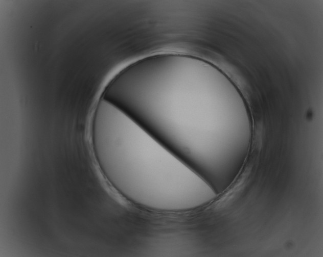 X0000101980862200807180759