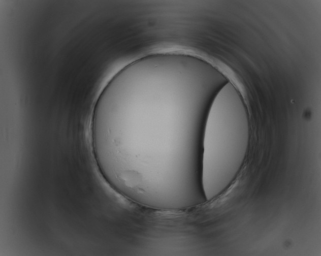 X0000101980863200807180759