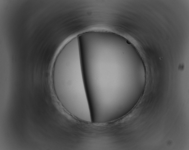 X0000101980864200807180759