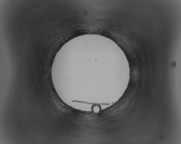 X0000101980865200807180758