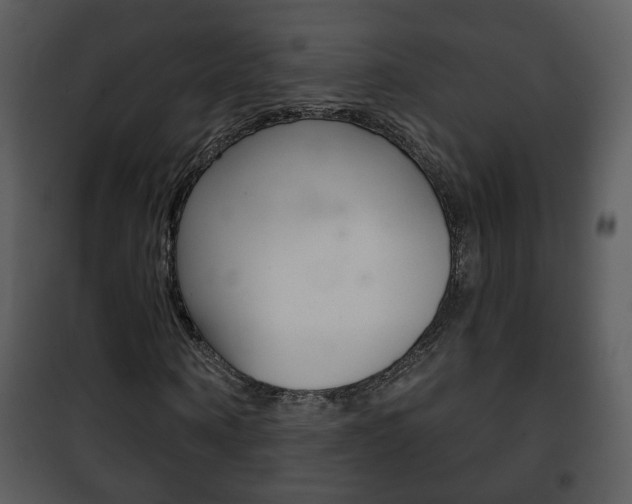 X0000101980866200807180758