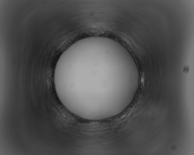 X0000101980867200807180758