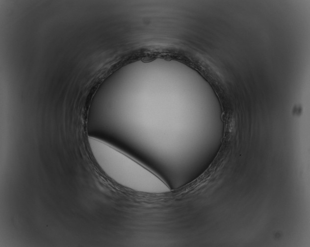 X0000101980868200807180758