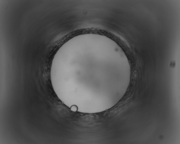 X0000101980869200807180758
