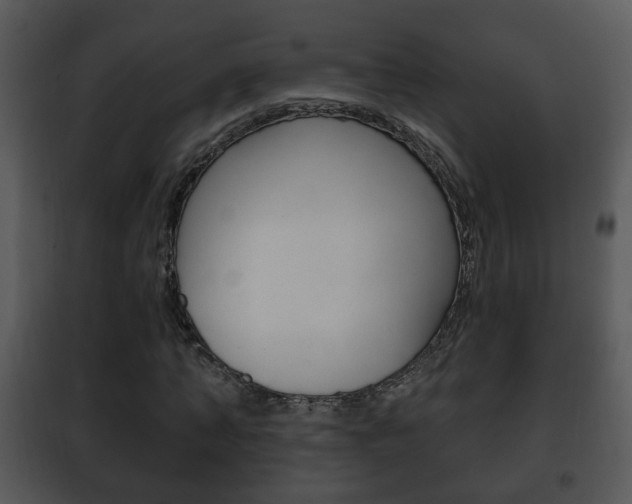 X0000101980870200807180758
