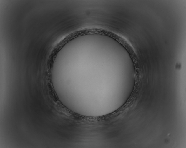X0000101980871200807180758