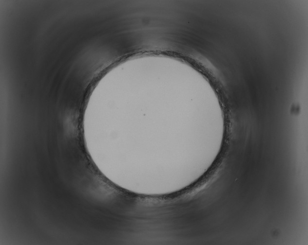 X0000101980873200807180758