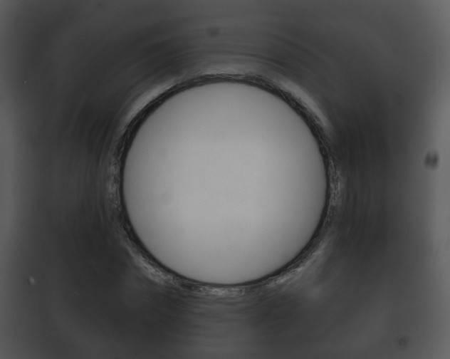 X0000101980874200807180758