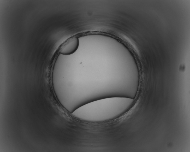 X0000101980875200807180758