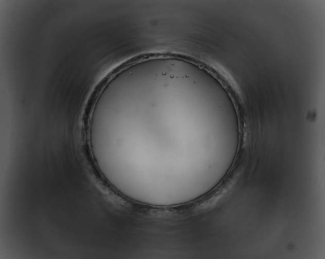 X0000101980876200807180758
