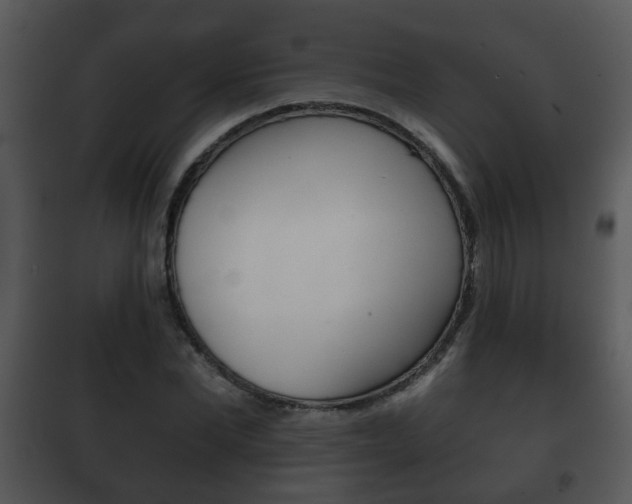 X0000101980877200807180758