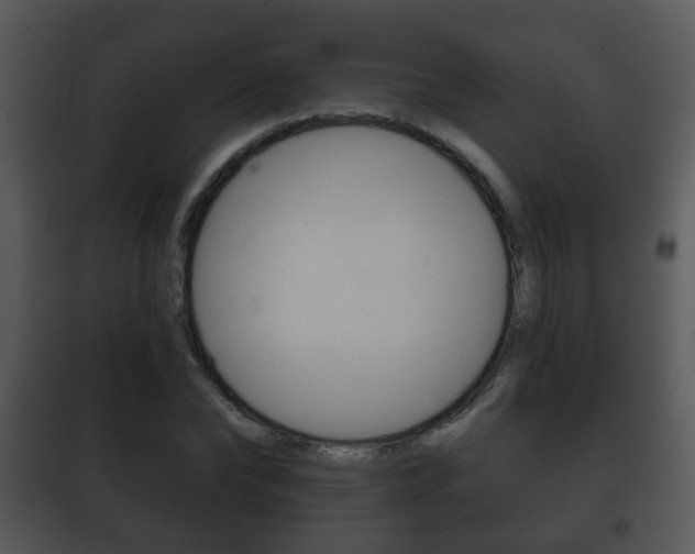X0000101980878200807180758