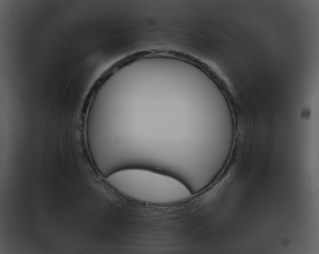 X0000101980879200807180758