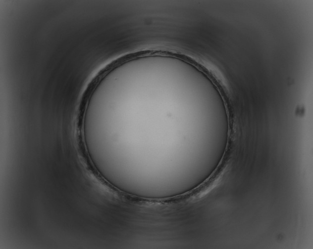 X0000101980880200807180758