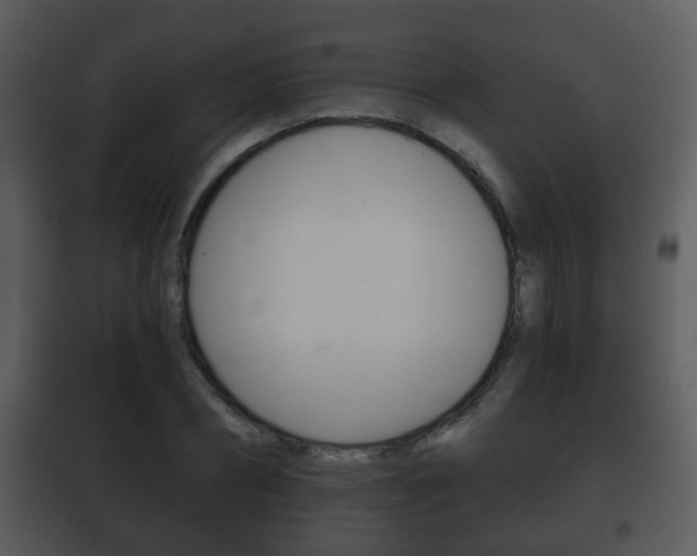 X0000101980882200807180758